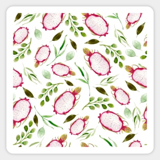 Dragonfruit  | Watercolor | Pattern Sticker